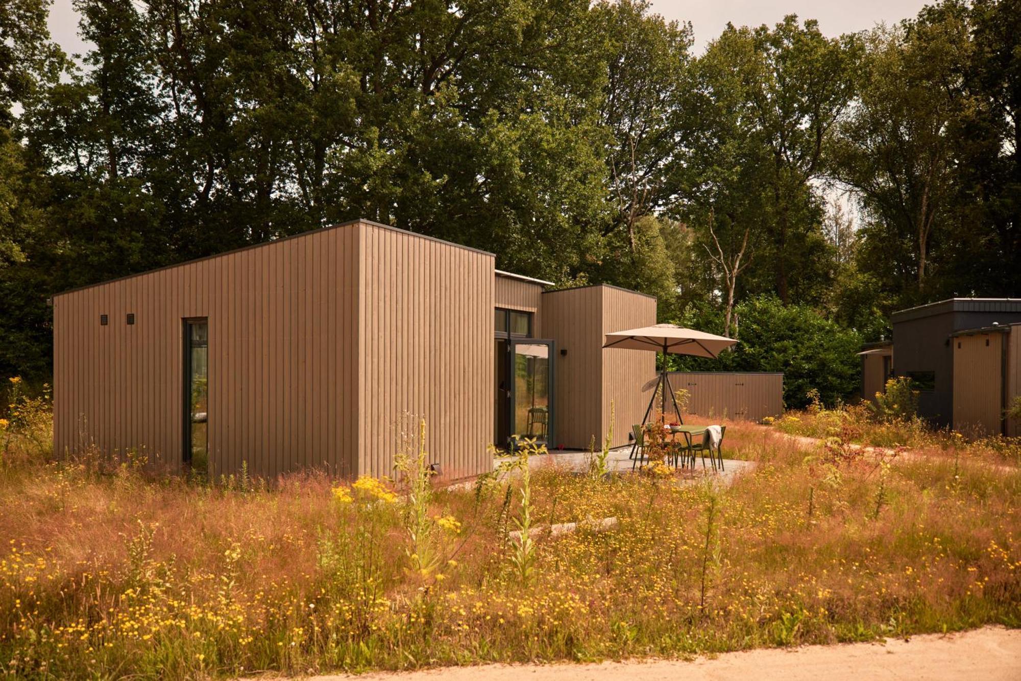 Dutchen Zeegser Duinen Suitelodges מראה חיצוני תמונה