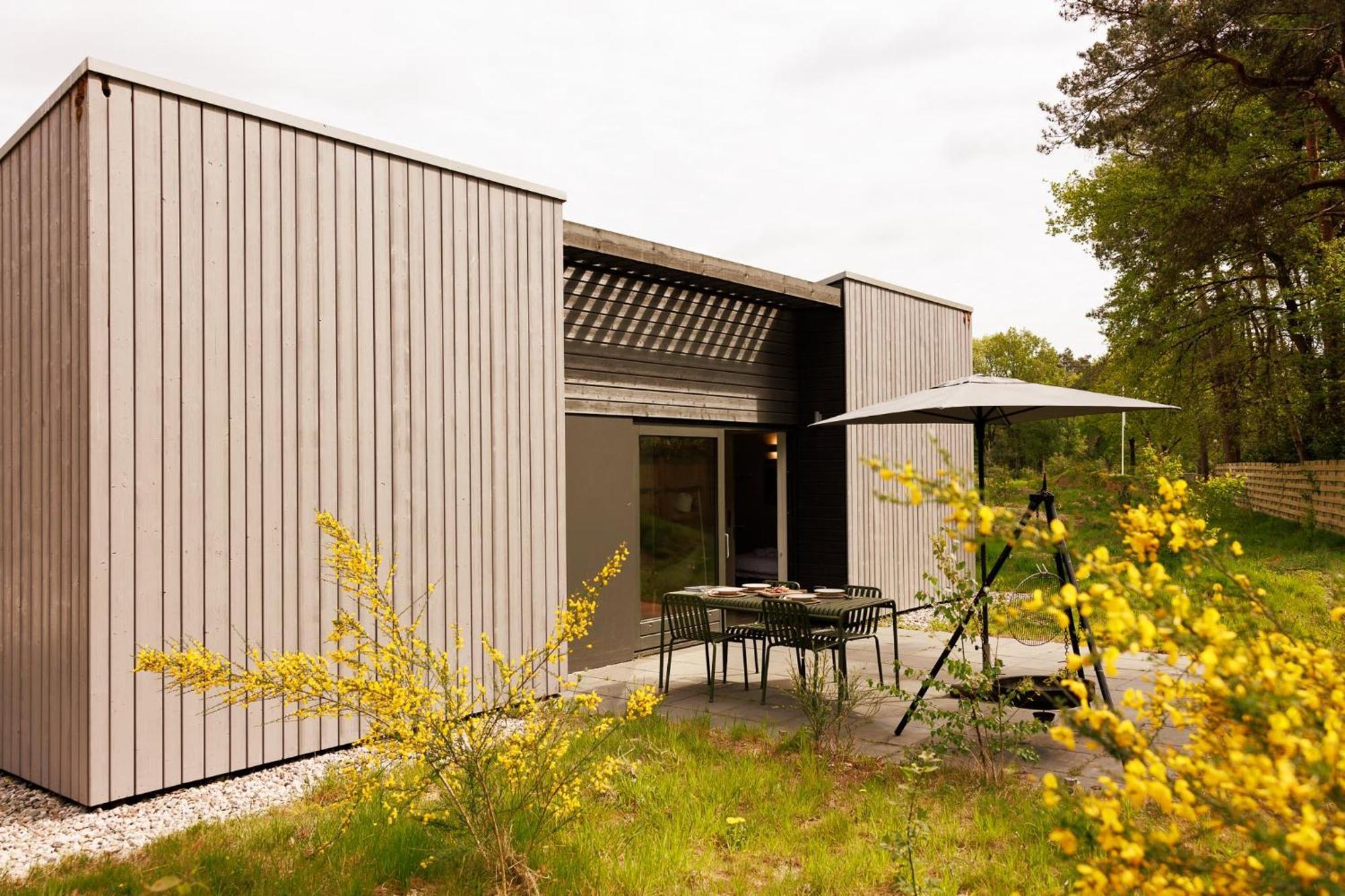 Dutchen Zeegser Duinen Suitelodges מראה חיצוני תמונה